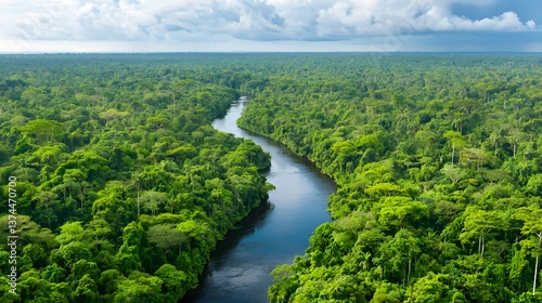 Aerial View of a Serene River Flowing Through a Lush Green Jungle Under Cloudy Sky