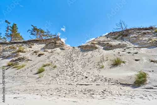 Dunes park near Baltic Sea. The Slowinski National Park.