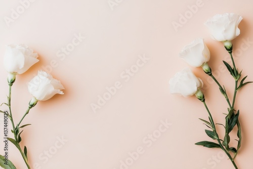 A serene arrangement of white roses against a soft pink background, evoking elegance and tranquility.