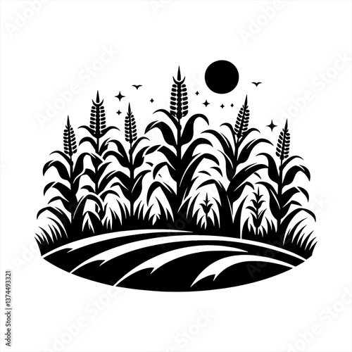 vector illustration of a corn field