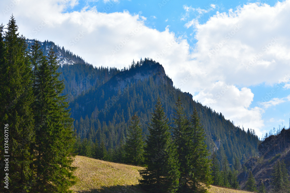 Fototapeta premium majestic mountins,high peaks, fabulous green forests atthe foot of the mountain peaks, wild nature