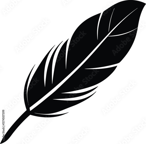 feather vector illustration