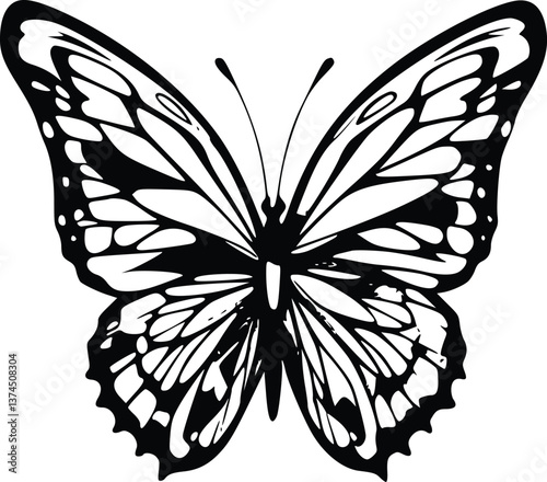 black and white butterfly