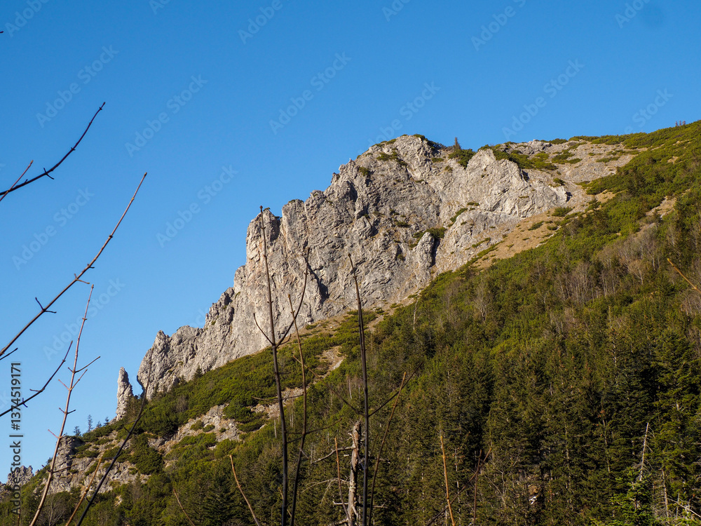 Fototapeta premium Dramatic Mountain Ridge with Rugged Rock Formation Rising Above Forested Hillside Under Vibrant Blue Sky