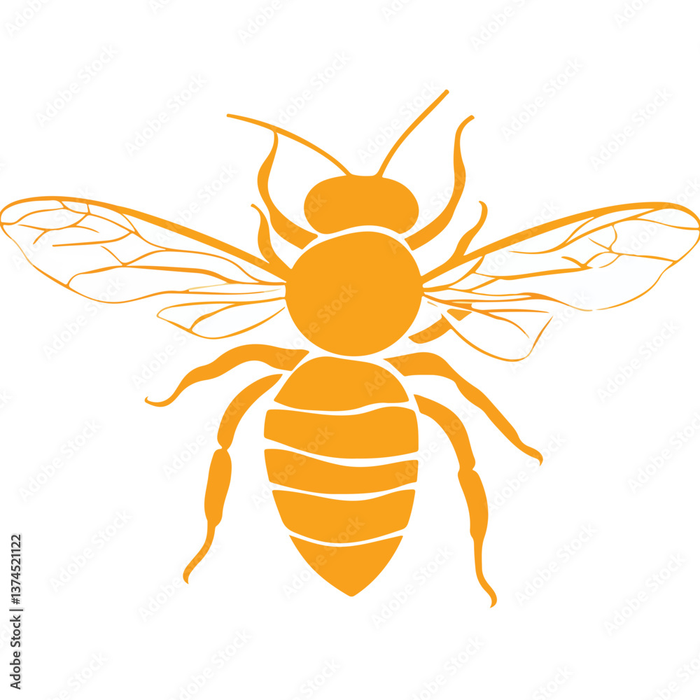 Fototapeta premium Flying Bee Design, Bee Clipart Design, Anthophila isolated, ‎Honey Bee Illustration, Cute Bee Graphics, isolated on white background 
