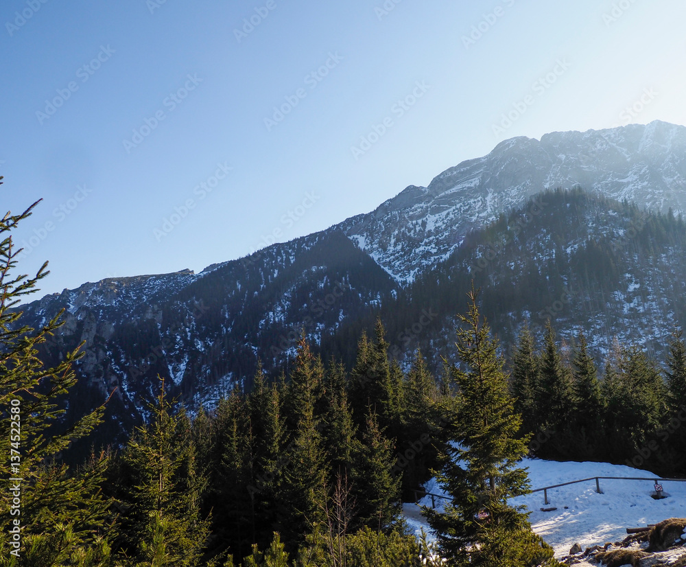 Fototapeta premium Sunlit Snow-Capped Mountains Towering Over Lush Green Coniferous Forest Under Blue Sky