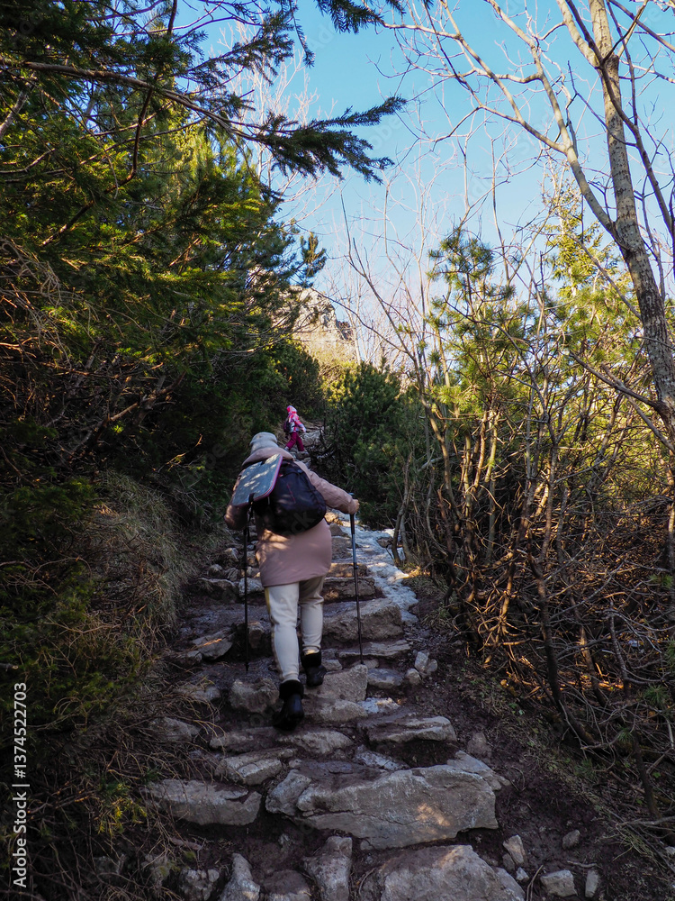 Obraz premium Hiker Ascending Rocky Mountain Trail Through Forest on Sunny Autumn Day