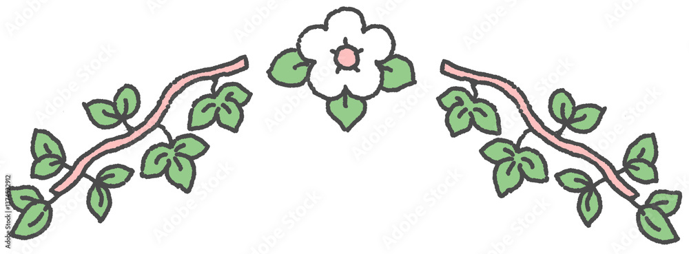 Fototapeta premium 꽃과 덩굴 장식 일러스트