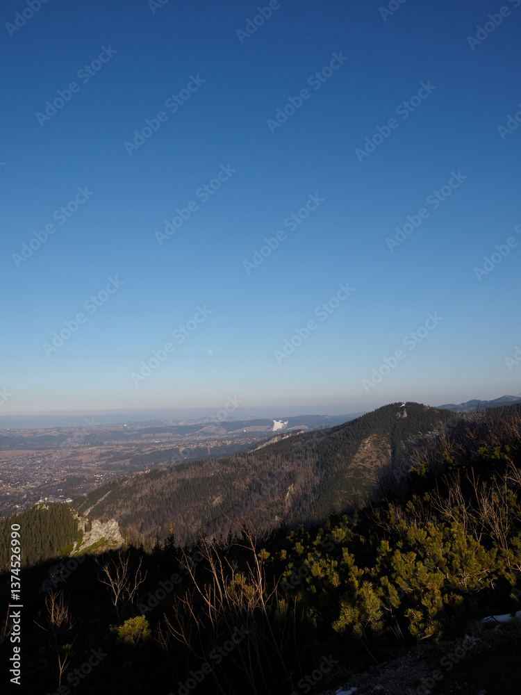 Fototapeta premium Breathtaking Mountain Summit View Showcasing Steep Forested Slopes and Vast Landscape Beyond