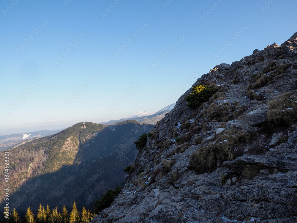 Obraz premium Dramatic Mountain Cliff Face with Golden Pine Trees Against Blue Sky and Distant Snow-Capped Peaks
