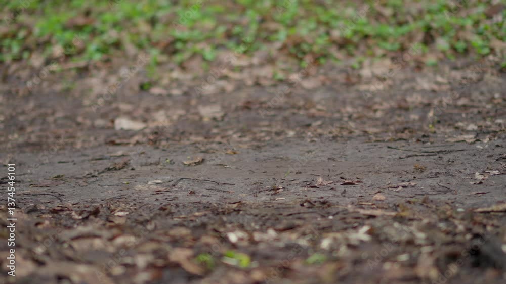 Enjoying a delightful walk while wearing my Green Wellies on a wonderfully muddy path Enjoying a delightful walk while wearing my Green Wellies on a wonderfully muddy path