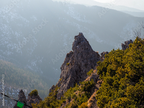 фотографія Dramatic Rocky Spire Rising Above Misty Forest Valley in Morning Light