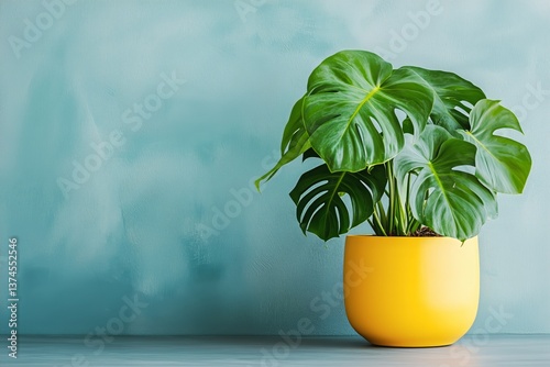 Vibrant Monstera Plant in Yellow Pot Against Neutral Background Indoors