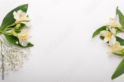 Mock up made with flowers on white background. Minimal concept.