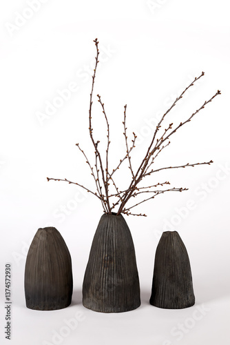 Handmade ceramic vase with tree branches. Object isolated on white background
