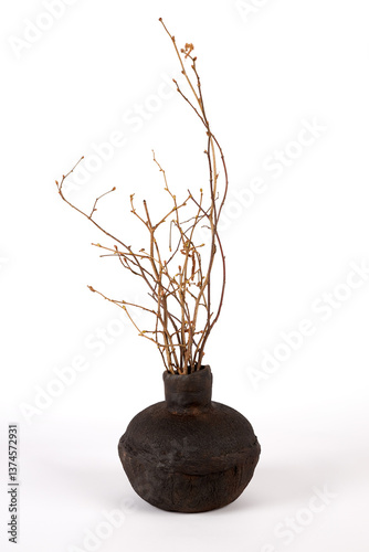 Handmade ceramic vase with tree branches. Object isolated on white background