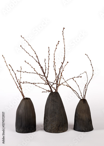 Handmade ceramic vase with tree branches. Object isolated on white background