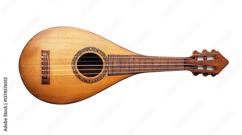 custom made wallpaper toronto digitalTraditional String Instrument with Wooden Body and Elegant Design