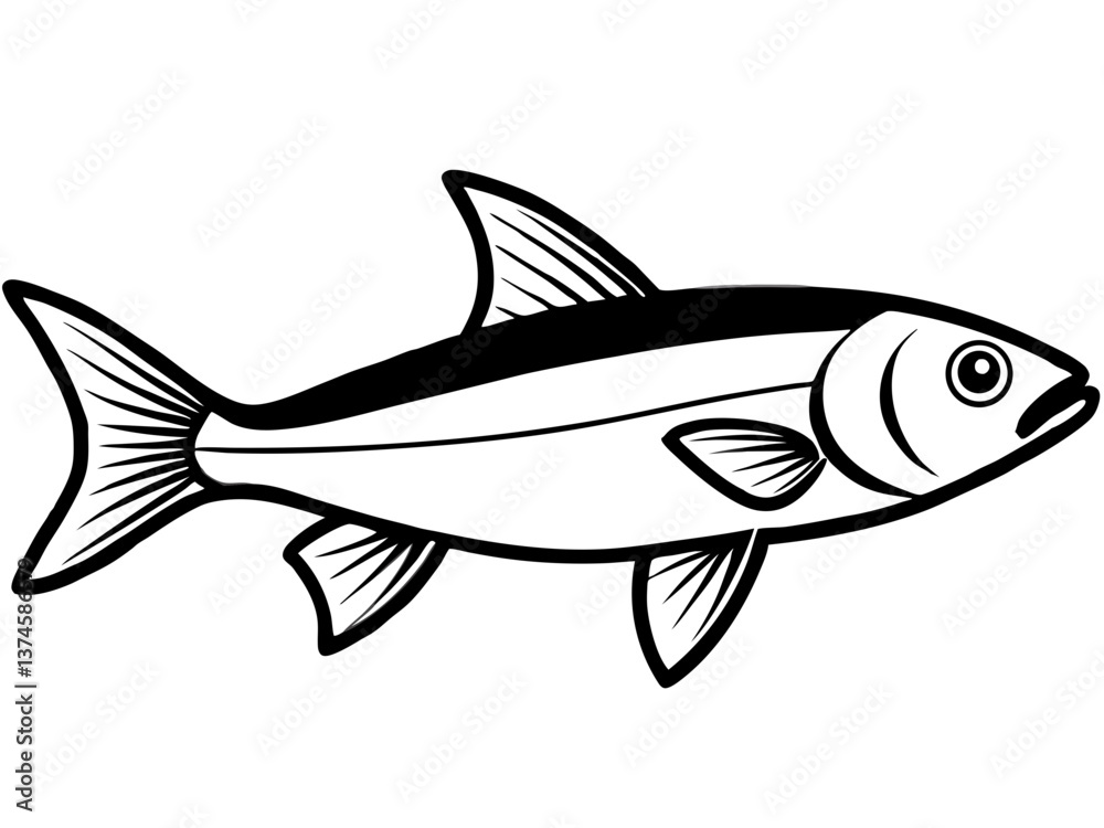 Simple fish vector illustration on a white background Simple fish vector illustration on a white background