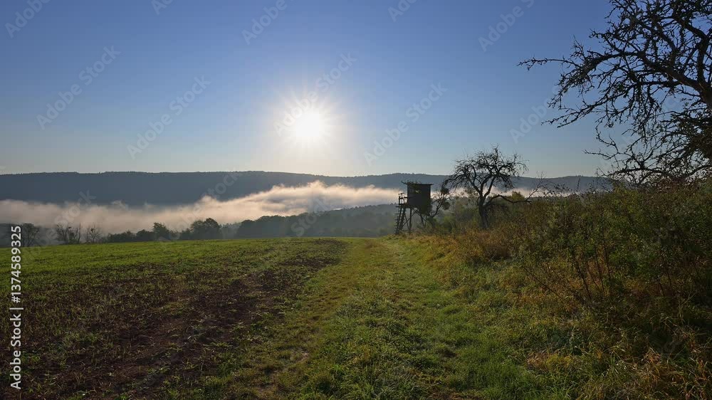 Mittelgebirgslandschaft, Jagdkanzel, Sonnenaufgang, Nebel, Sommer, Großheubach, Miltenberg, Spessart, Bayern, Deutschland, Europa, Obstbaum, Apfelbaum