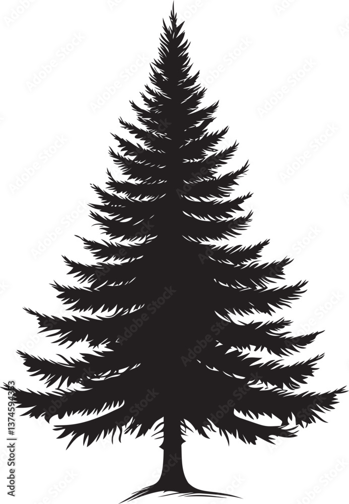 Silhouette of an evergreen pine tree Silhouette of an evergreen pine tree