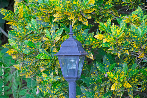 lamp in the garden