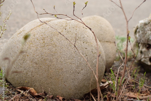 stones on the grass