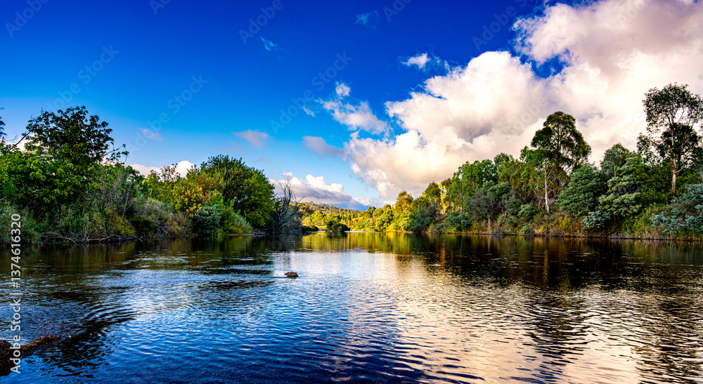 Fototapeta premium River lined with trees