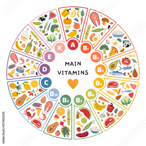 13 Main vitamins and their food sources in circle shape. Infographic for nutrition, wellness and healthcare concepts. Trendy modern vector illustration isolated on white, hand drawn, flat design