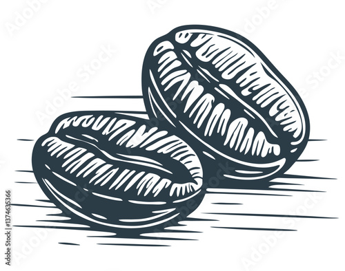 Roasted coffee beans resting on weathered wood, rendered through intricate hand drawn engraving revealing rich texture and deep aromatic character