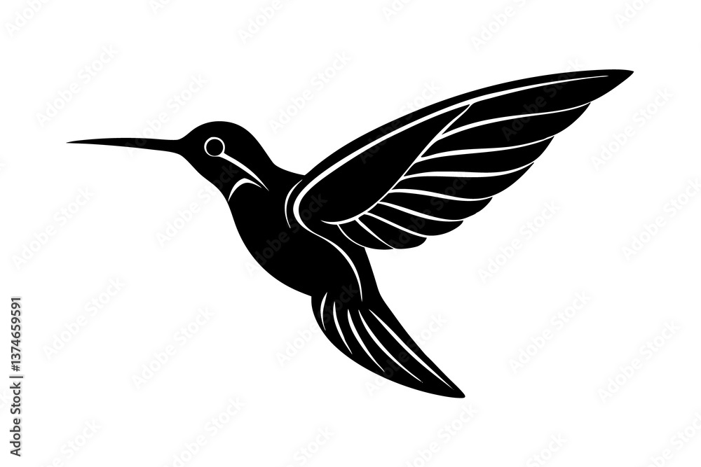 Obraz premium hummingbird in flight