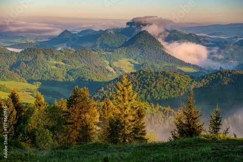 Misty morning with view of Trzy Korony (Three Crowns) peak in Pieniny National Park(Tri koruny, Pieniny, Pieninský národný park, Pieninski park narodowy ) Poland, sunrise with meadow an clouds. photo