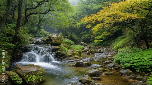 nature landscape with lush green forest and flowing stream