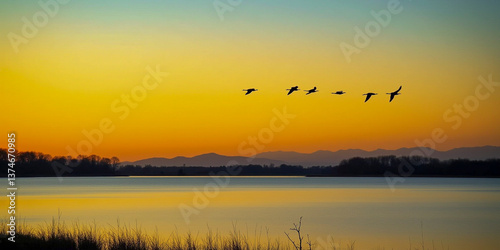 sunrise over the river