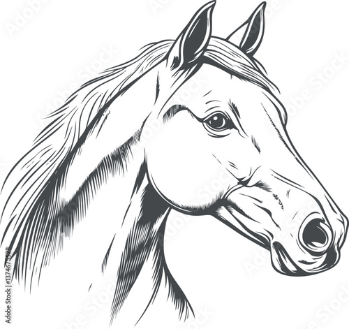 Detailed horse head illustration in black