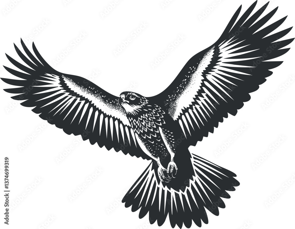 Obraz premium Black and white illustration of an eagle soaring with outstretched wings in mid-flight.