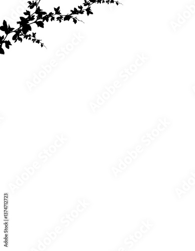 Floral branch corner element with flower and leaves.  Botanic shadows overlay.  Bare tree branches. Frames with  branches flowers. png cut out