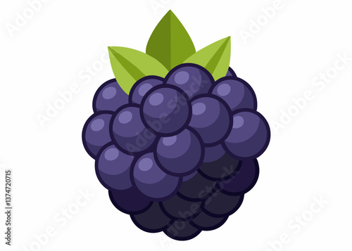 Vector illustration of ripe grapes and blackberries with leaves on the vine