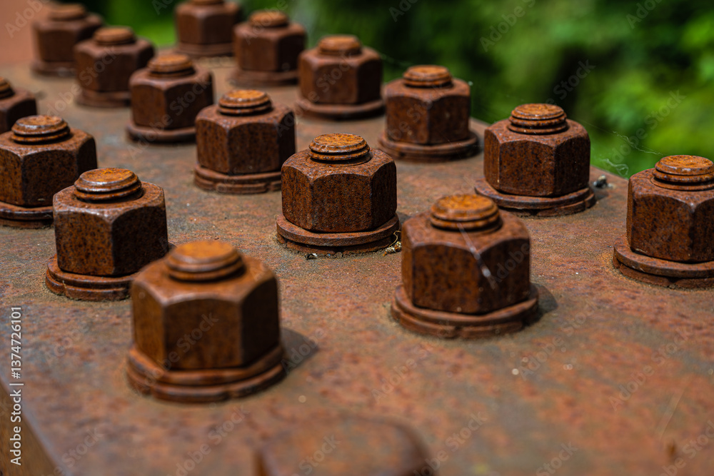 Rusty Screw Nuts on an Iron Bridge in Washington State