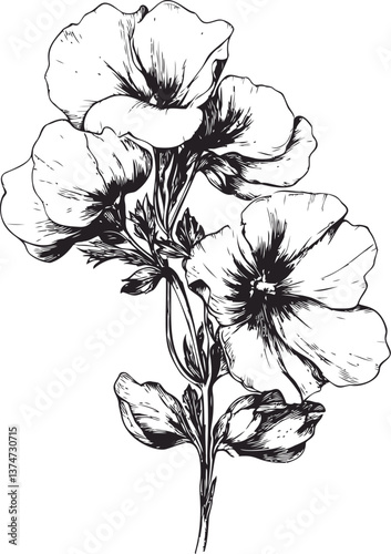 Detailed illustration of blooming petunias