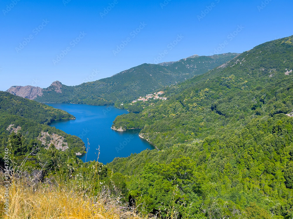 Fototapeta premium Ocana, Corsica, France - July 8, 2024: Green mountain landscape with the blue Lac de Tolla Lake