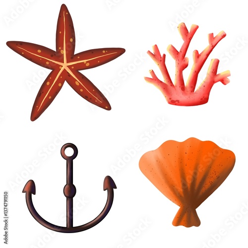 set of marine elements with corals, shells and starfish