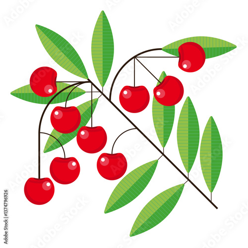 Cherries branch summer mid century modern