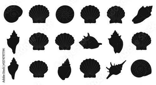 Collection of various seashells in black silhouettes.