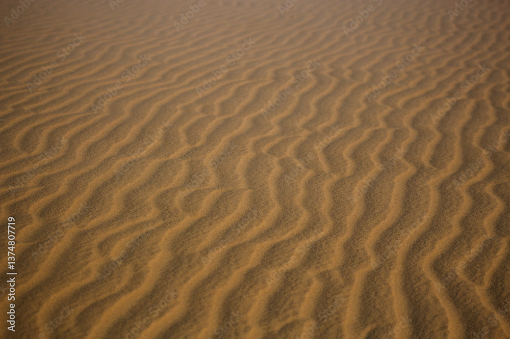 Textura Areia Praia Bege Grãos Suavidade Ondas Padrão Natural Detalhe Microscópico Superfície Tato Quente Fino Uniforme Deserto Erosão Marrom Textura Areia Praia Bege Grãos Suavidade Ondas Padrão Natural Detalhe Microscópico Superfície Tato Quente Fino Uniforme Deserto Erosão Marrom