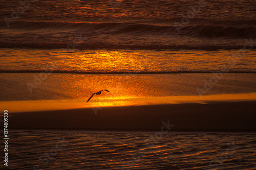 Bild auf Leinwand Paisagens Por-Do-Sol Mar Jericoacoara Praia Dunas Céu Natureza Oceano Horizonte
