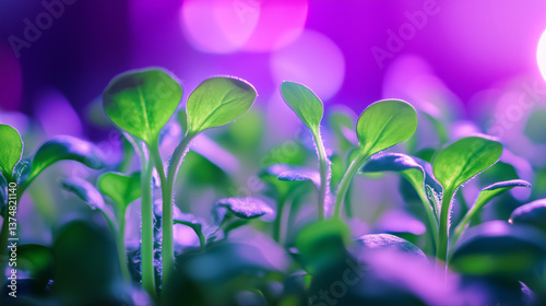 Ecology and Saving the Planet