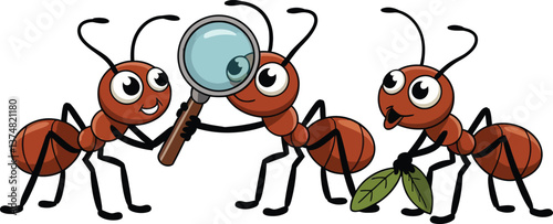  a illustrator vector ants with a white backround