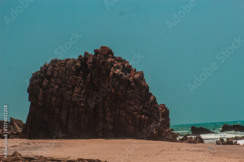 Animais-Silvestres Vegetação Parque-Nacional-De-Jericoacoara Urubu Burro Dunas Restinga Manguezal Apicum Natureza Vida-Selvagem Paisagem Céu-Aberto Ecossistema Aves Répteis Mamíferos Flora Fauna Conse photo