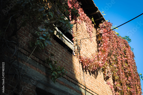 Classical old Turkish building facade covered with ivy plants in summer and holiday vacation region during a warm and sunny day